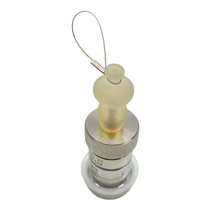 AERRE INOX s.r.l RPS-X-TC3/4-H-LUER Sicherheitsventil für industriellen Einsatz