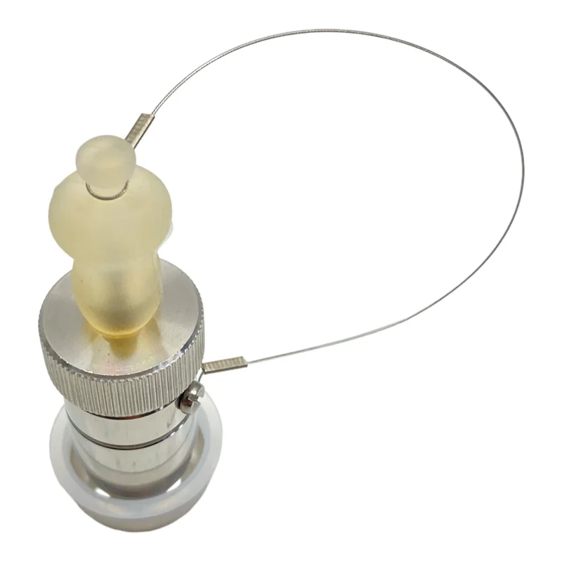 AERRE INOX s.r.l RPS-X-TC3/4-H-LUER Sicherheitsventil für industriellen Einsatz