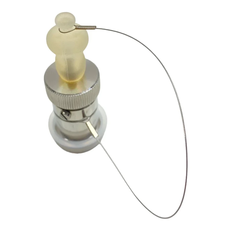 AERRE INOX s.r.l RPS-X-TC3/4-H-LUER Sicherheitsventil für industriellen Einsatz