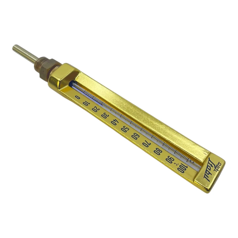 Sika Thermometer 0-100C für industriellen Anwendungen Thermometer