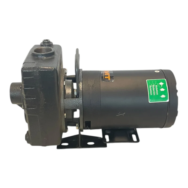 AMT Kreiselmpumpe 1,1kW 230V 1,5hp selbstansaugende Kreiselpumpe mit WEG Motor