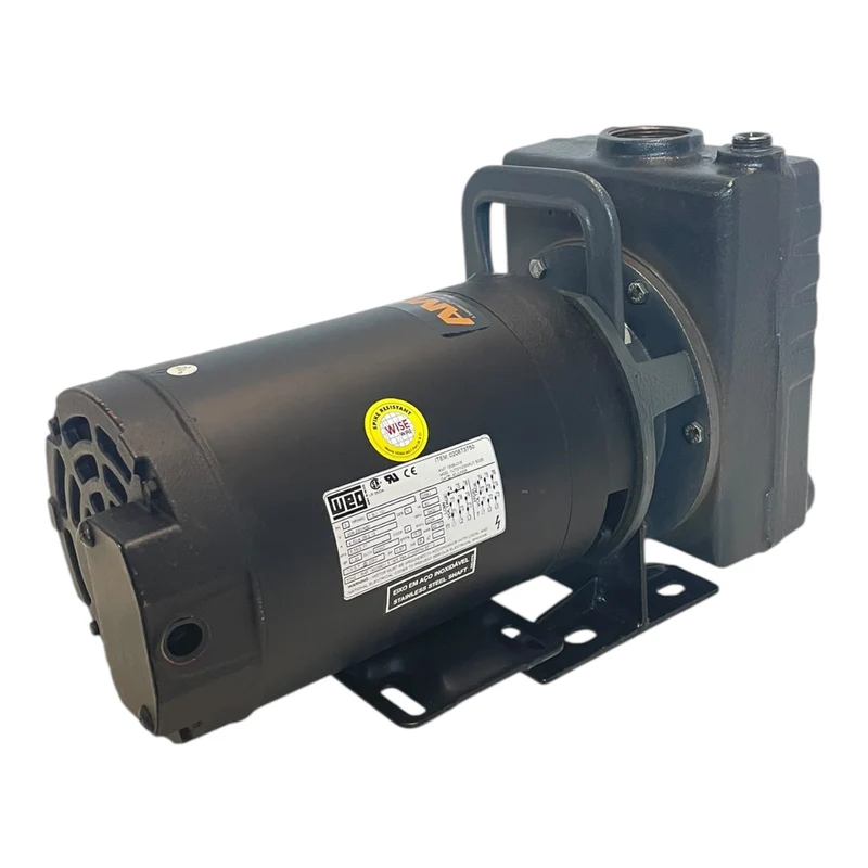 AMT Kreiselmpumpe 1,1kW 230V 1,5hp selbstansaugende Kreiselpumpe mit WEG Motor