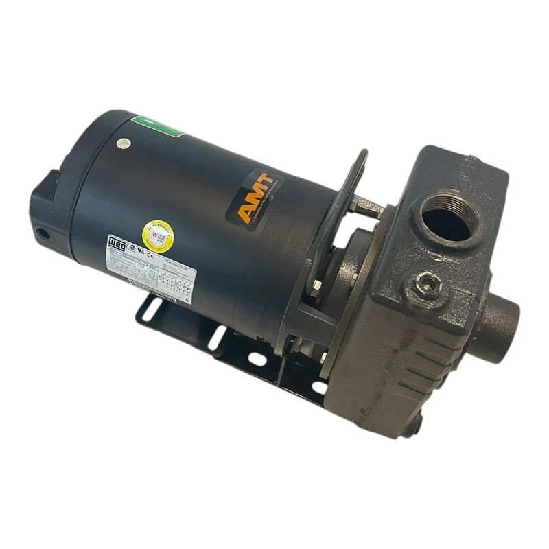 AMT Kreiselmpumpe 1,1kW 230V 1,5hp selbstansaugende Kreiselpumpe mit WEG Motor