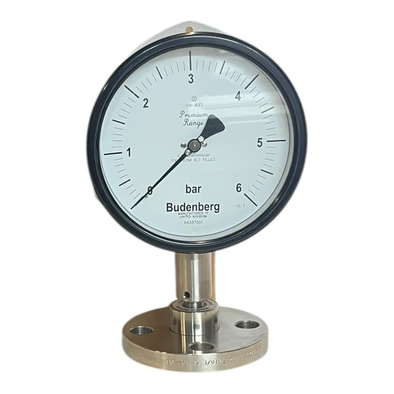 Budenberg Manometer 0–6 bar Flanschanschluss EN-837 Druckmessgerät 04337001