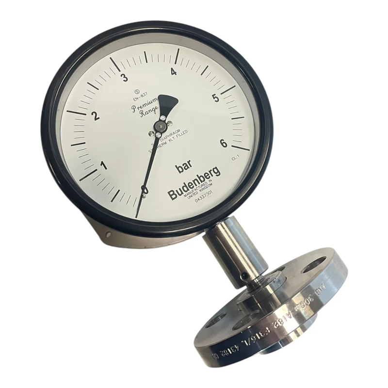 Budenberg Manometer 0–6 bar Flanschanschluss EN-837 Druckmessgerät 04337001