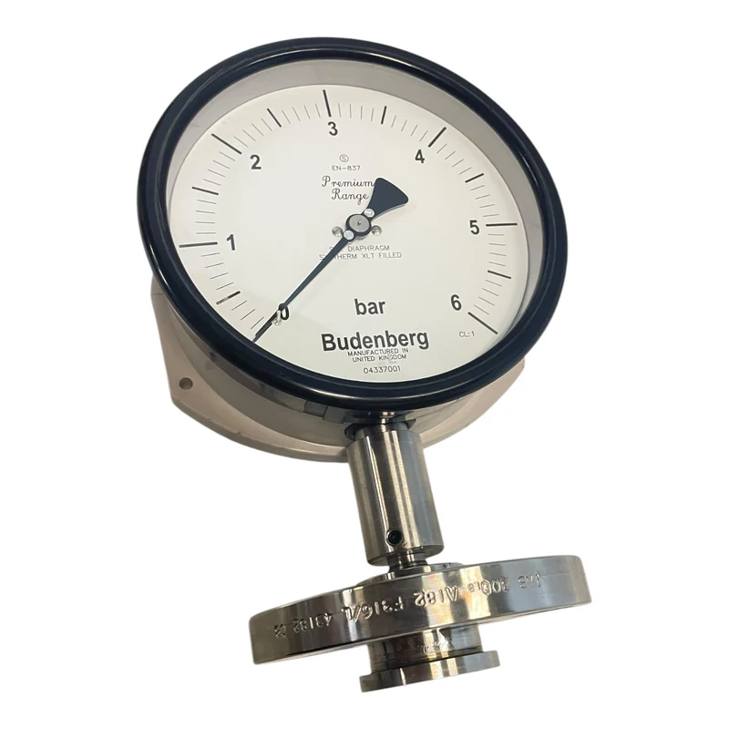 Budenberg Manometer 0–6 bar Flanschanschluss EN-837 Druckmessgerät 04337001