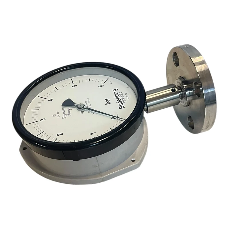 Budenberg Manometer 0–6 bar Flanschanschluss EN-837 Druckmessgerät 04337001