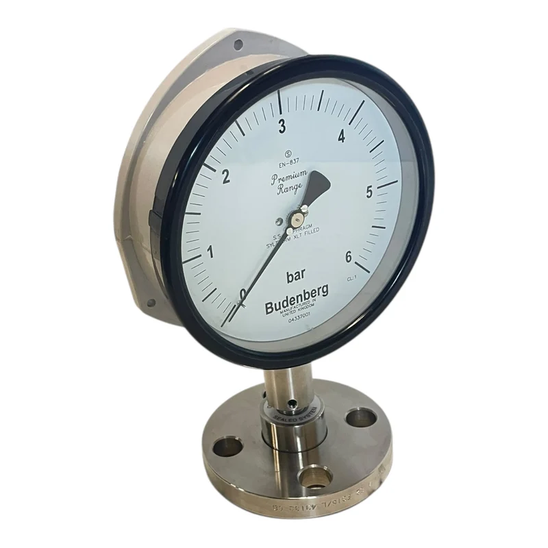 Budenberg Manometer 0–6 bar Flanschanschluss EN-837 Druckmessgerät 04337001