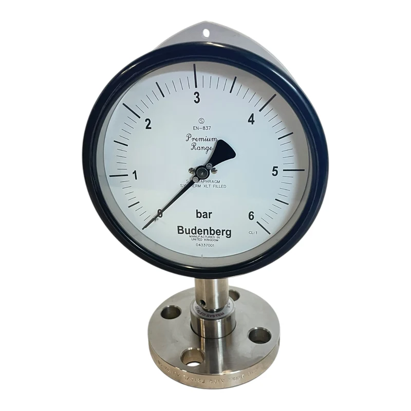 Budenberg Manometer 0–6 bar Flanschanschluss EN-837 Druckmessgerät 04337001