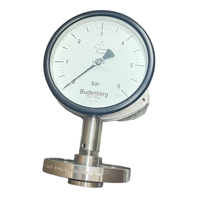 Budenberg Manometer 0–6 bar Flanschanschluss EN-837 Druckmessgerät 04337001