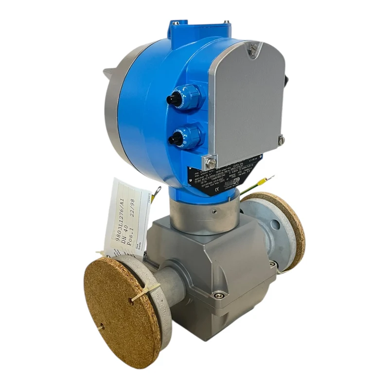 BAILEY FISCHER PORTER 10DX3711 Durchflussmesser 230 V- für industriellen Einsatz