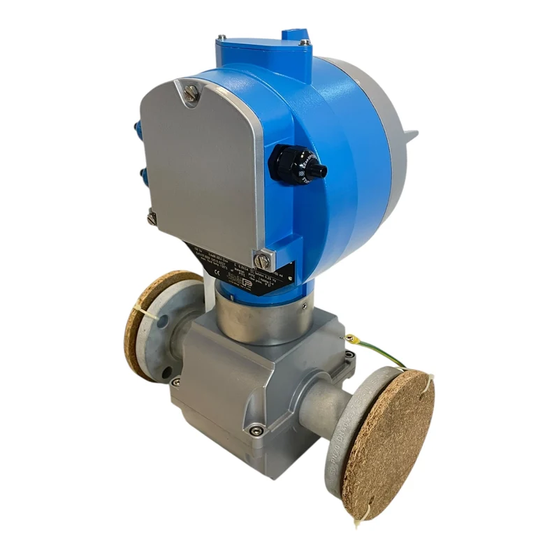 BAILEY FISCHER PORTER 10DX3711 Durchflussmesser 230 V- für industriellen Einsatz
