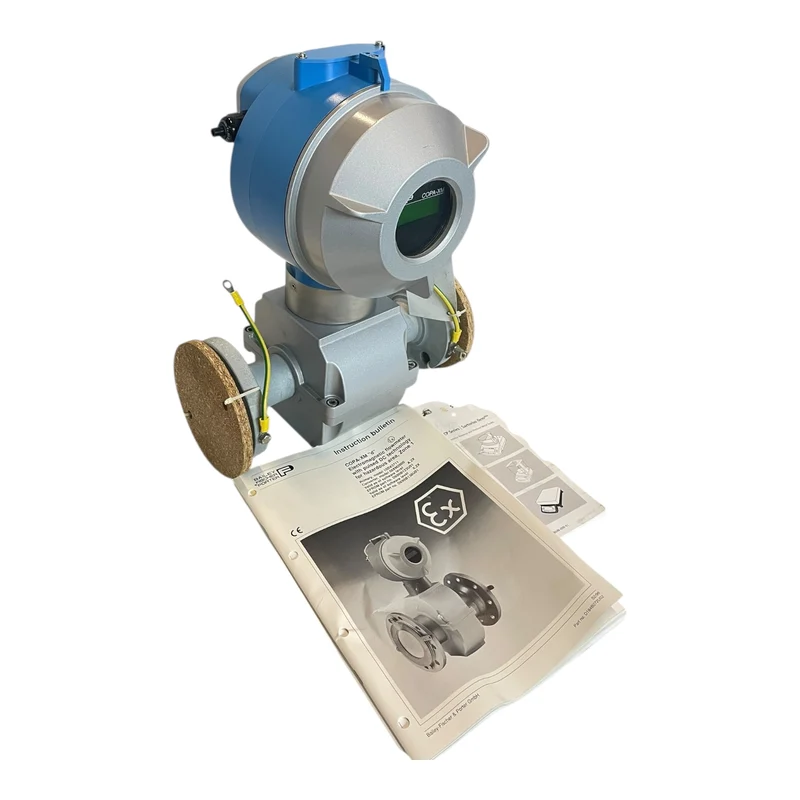 BAILEY FISCHER PORTER 10DX3711 Durchflussmesser 230 V- für industriellen Einsatz