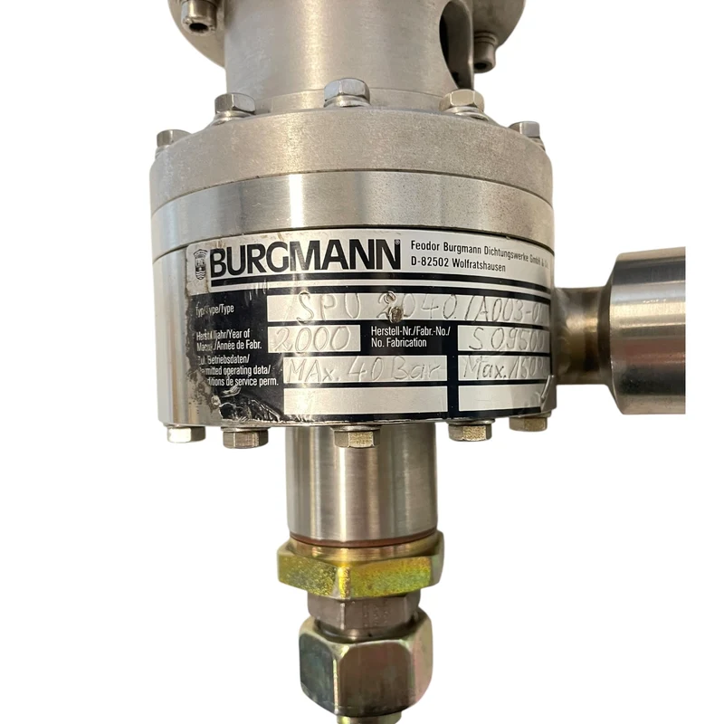 Burgmann SPU2040/A003 Pumpe 0,25kW - für industriellen Einsatz Pumpe