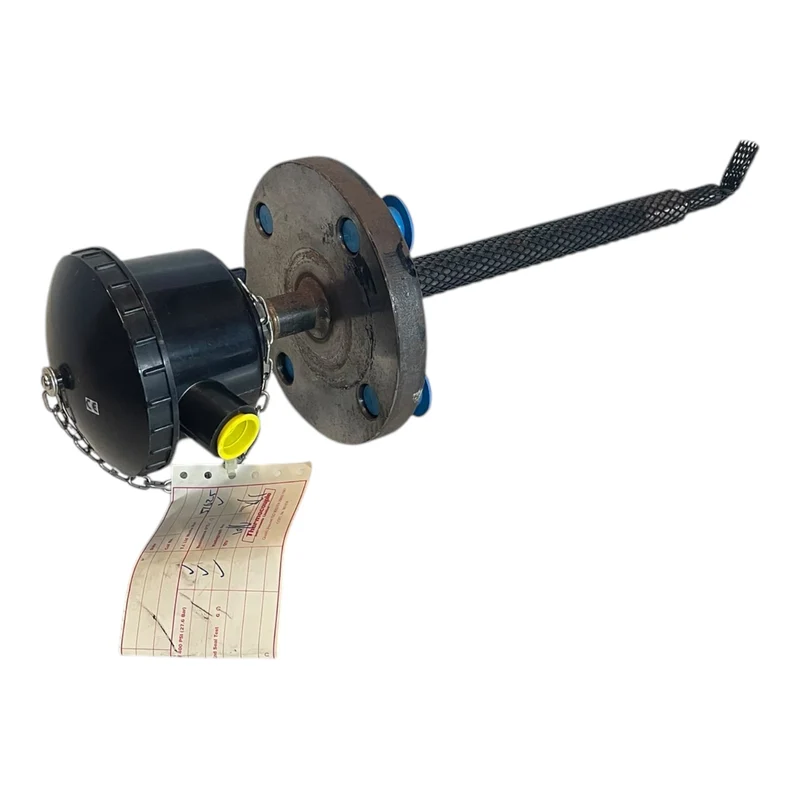 Thermocouple 60-PT100-321-2x3W-A Thermostat für industriellen Einsatz