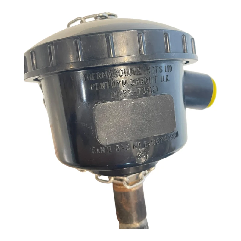Thermocouple 60-PT100-321-2x3W-A Thermostat für industriellen Einsatz