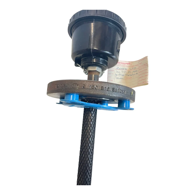 Thermocouple 60-PT100-321-2x3W-A Thermostat für industriellen Einsatz