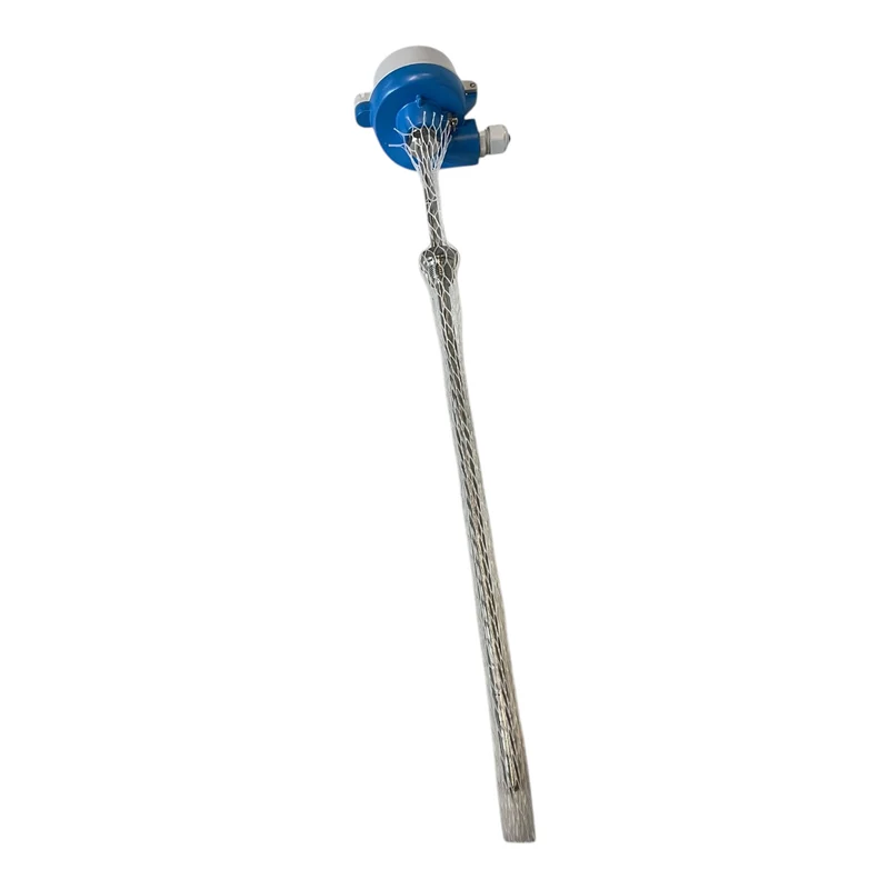Endress+Hauser TR10-BBA3CASXCB000 Temperatursensor für industriellen Einsatz